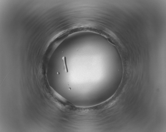 X0000054440826200508121842