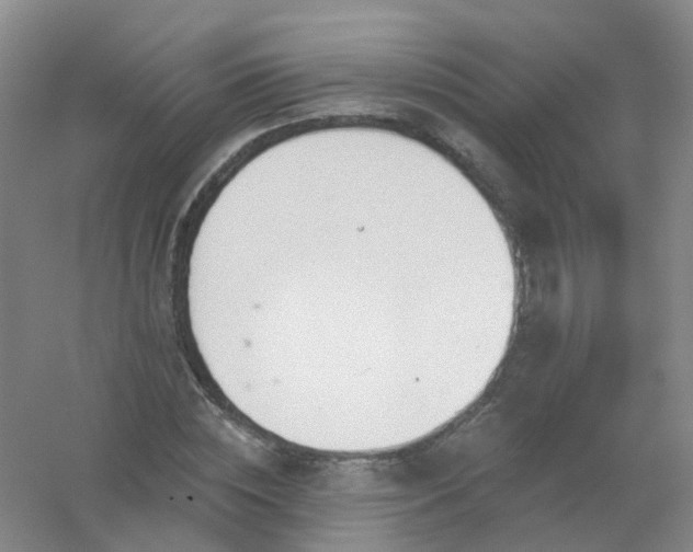 X0000054440828200508121842