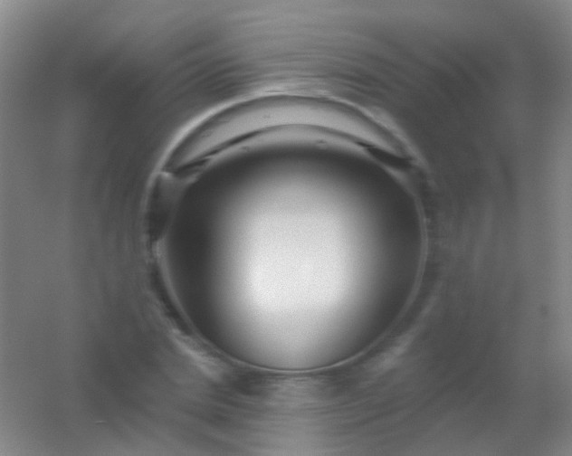 X0000054440830200508121842