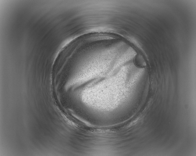 X0000054440831200508121842