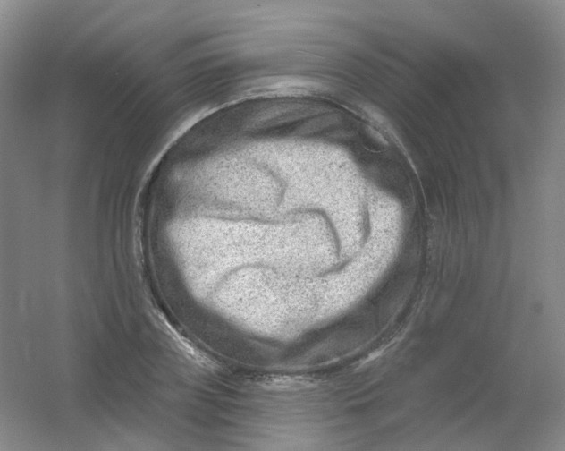 X0000054440835200508121842