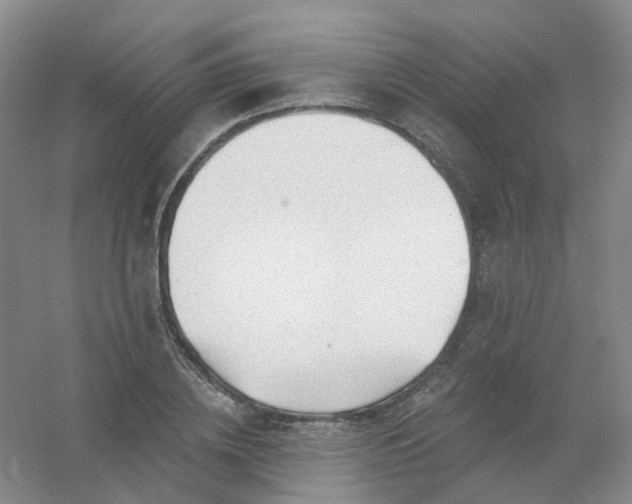 X0000054440836200508121842