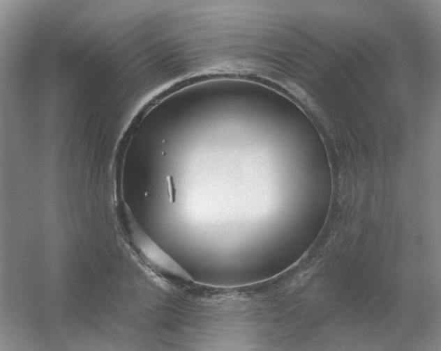 X0000054440838200508121842