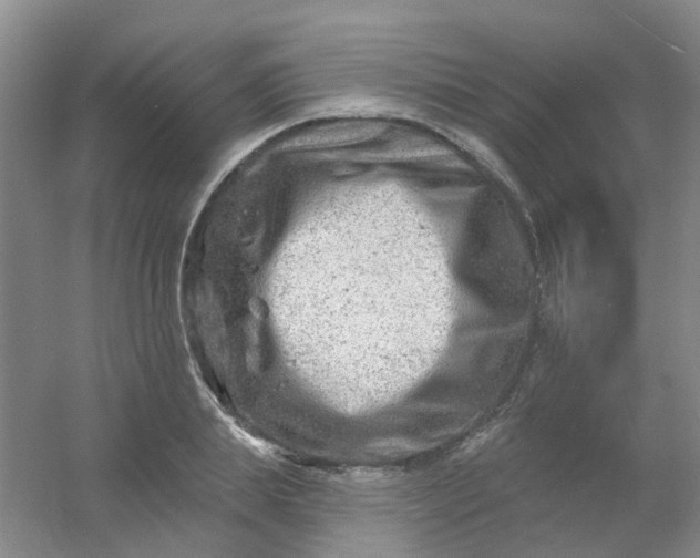 X0000054440839200508121842