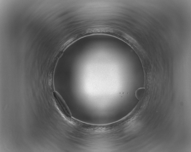 X0000054440841200508121842