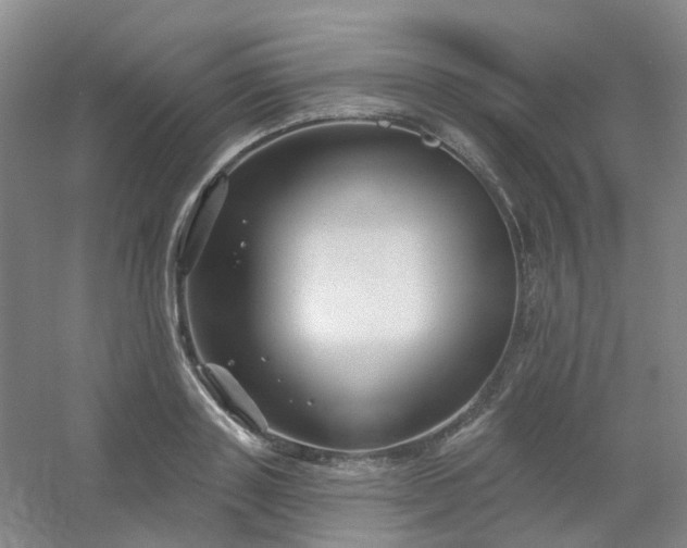 X0000054440843200508121842