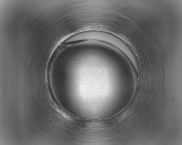 X0000054440846200508121842