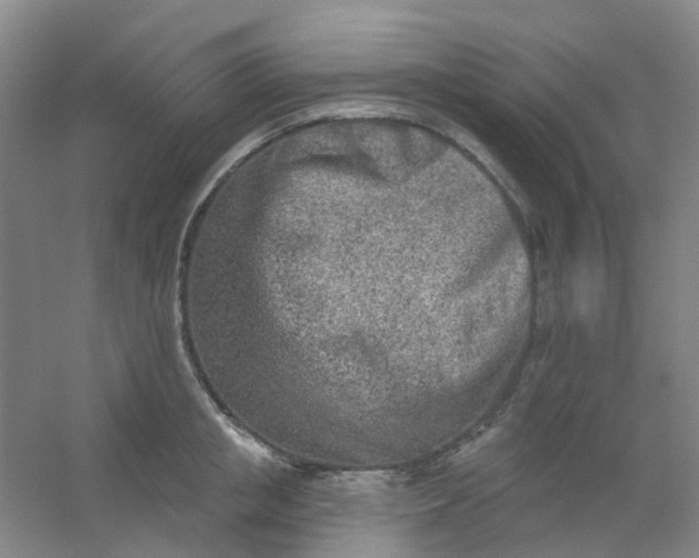 X0000054440853200508121843