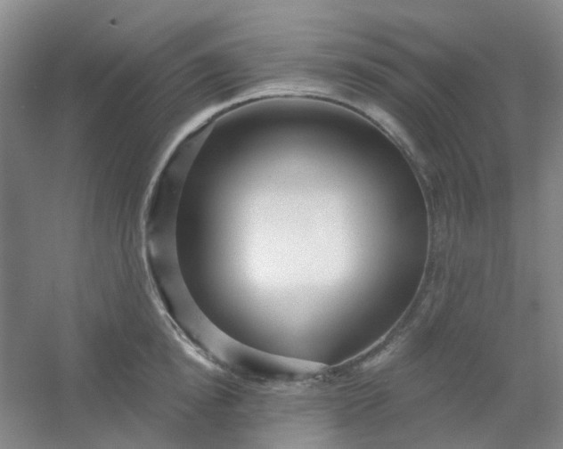 X0000054440854200508121843