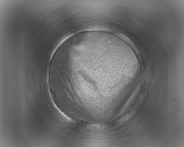 X0000054440855200508121843