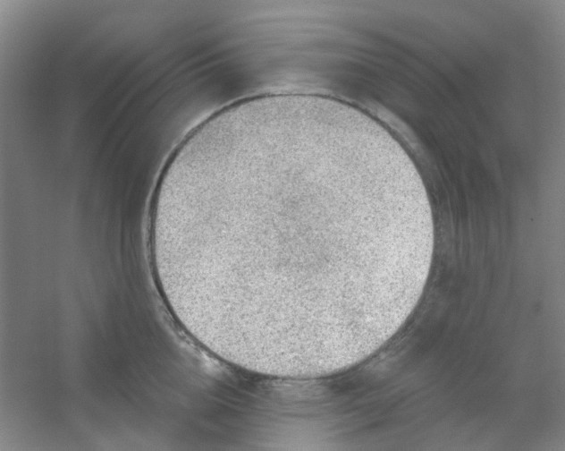 X0000054440856200508121843