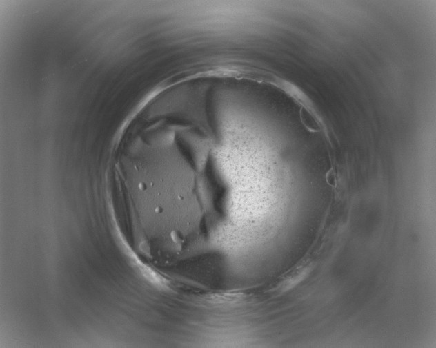 X0000054440859200508121843