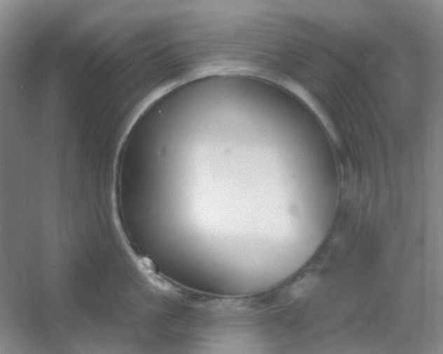 X0000054440861200508121843