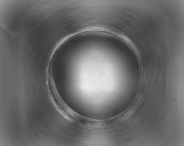 X0000054440862200508121843