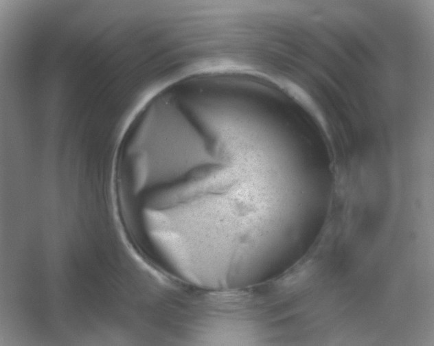 X0000054440863200508121843