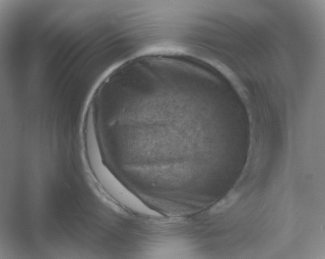 X0000054440864200508121843