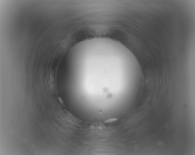 X0000054440866200508121842