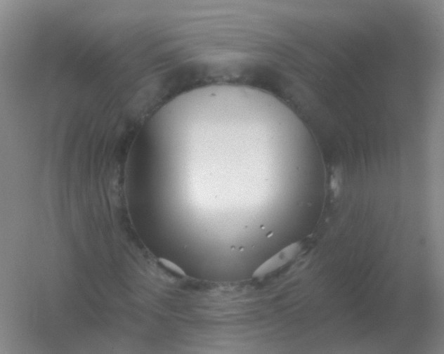 X0000054440867200508121842