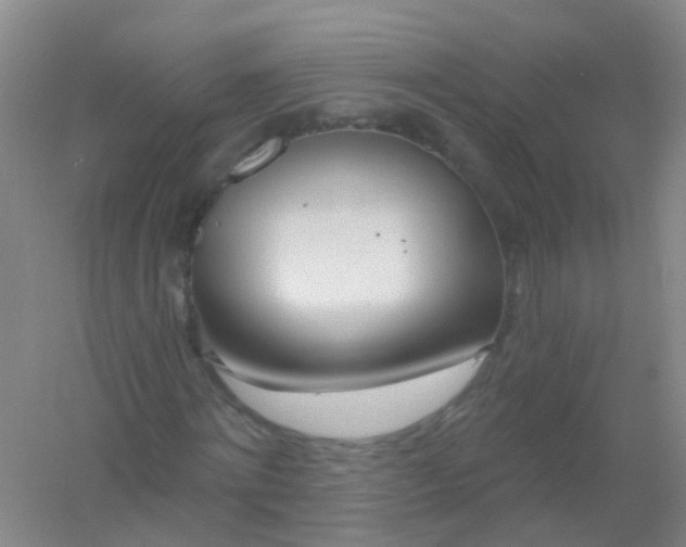 X0000054440868200508121842