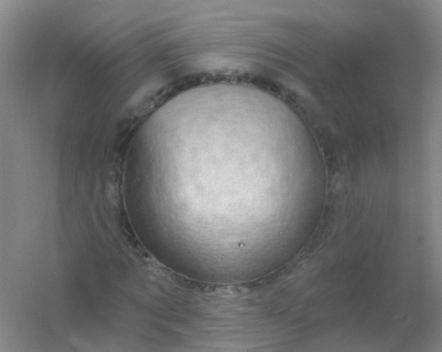 X0000054440869200508121842