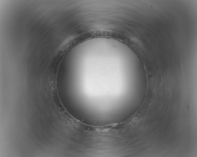 X0000054440870200508121842