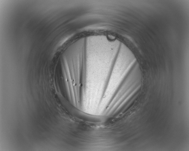 X0000054440871200508121842