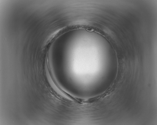 X0000054440872200508121842