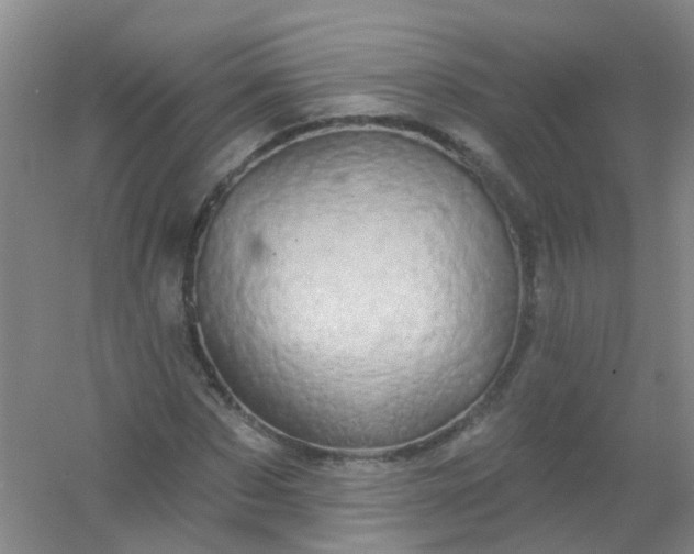 X0000054440873200508121842