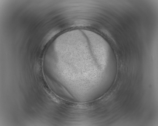 X0000054440874200508121842