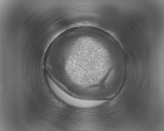 X0000054440879200508121842