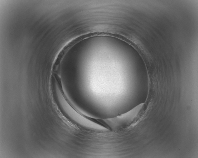 X0000054440880200508121842