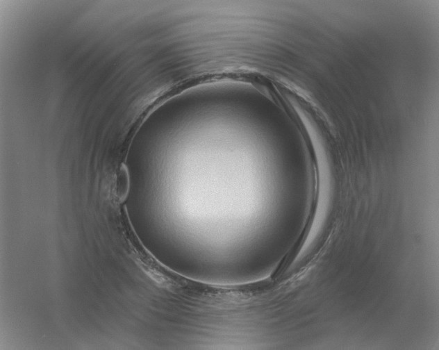 X0000054440881200508121842