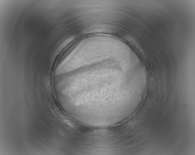 X0000054440882200508121842