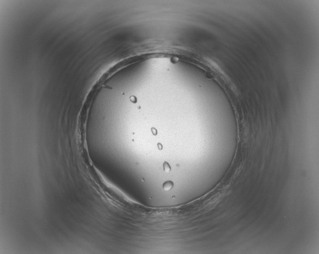 X0000054440883200508121842