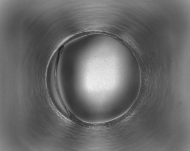 X0000054440884200508121842