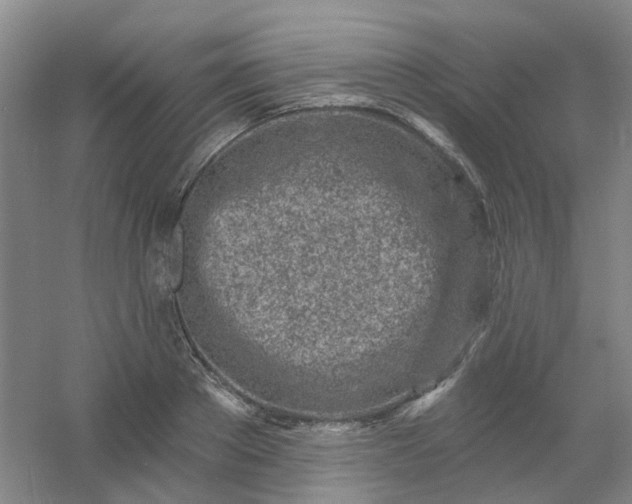 X0000054440889200508121842