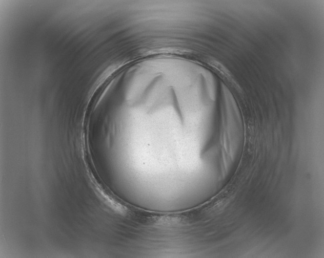 X0000054440890200508121842