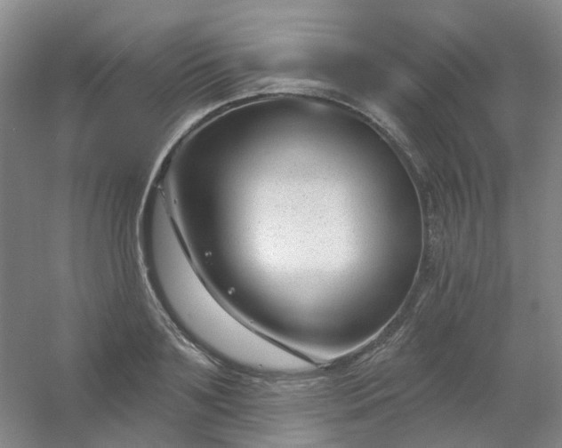 X0000054440891200508121842