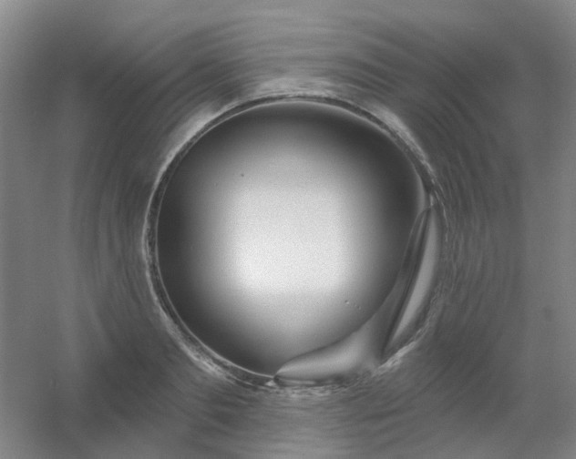 X0000054440893200508121841