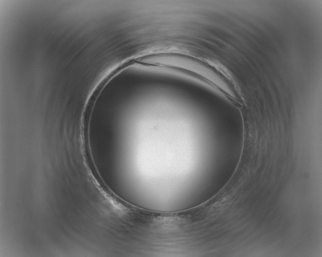 X0000054440894200508121841