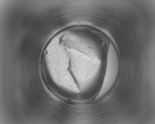 X0000054440895200508121841