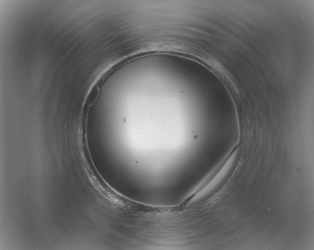 X0000054440896200508121841