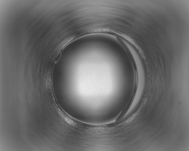 X0000054440897200508121841