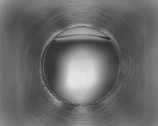 X0000054440898200508121841