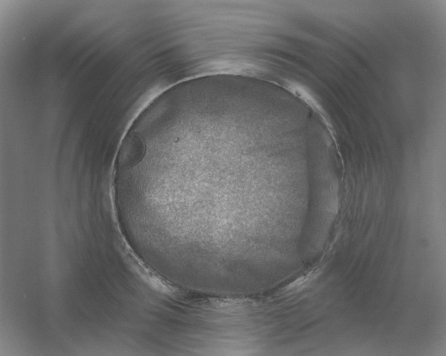 X0000054440899200508121841