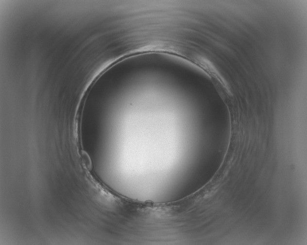 X0000054440900200508121841