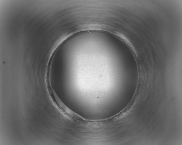 X0000054440901200508121841