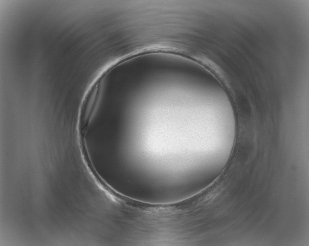 X0000054440902200508121841