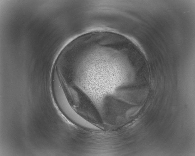 X0000054440903200508121841