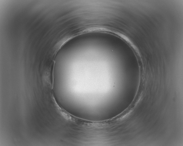 X0000054440905200508121841